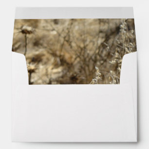 Dry Grass Envelopes