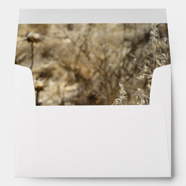 Dry Grass Envelopes (Back (Bottom))