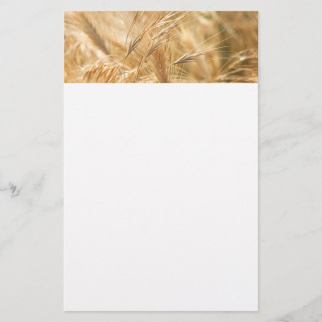 Dry grass pattern stationery (Front)