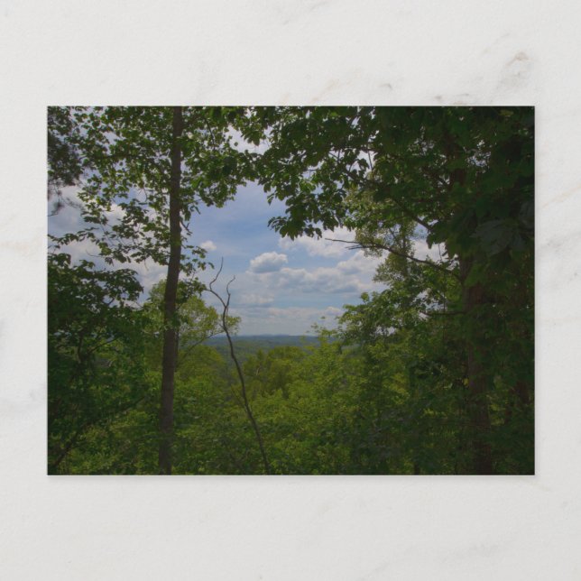 Dry Land Bridge Overlook, Kentucky Postcard (Front)