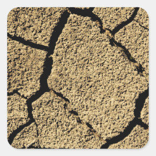 Dry land with cracked earth in drought square sticker