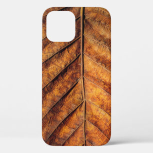Dry leaf: natural texture background. iPhone 12 case