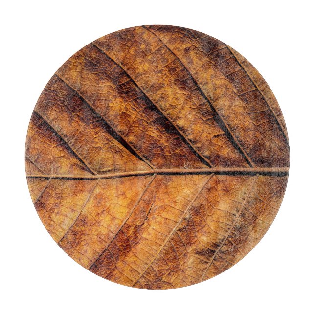 Dry leaf: natural texture background. cutting board (Front)