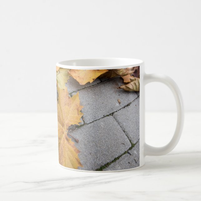 dry leaves on the pavement coffee mug (Right)