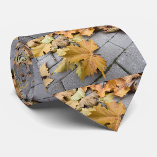 dry leaves on the pavement tie