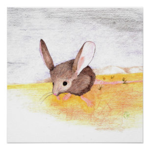 Dry Mouse Poster