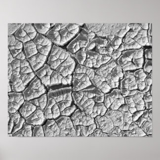 Dry Mud Flat Poster