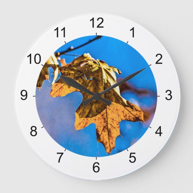 Dry oak leaf - Spring is nor far off Large Clock (Front)