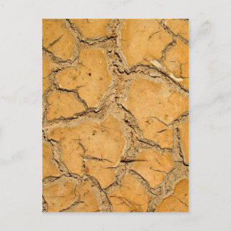 dry soil / crack earth postcard