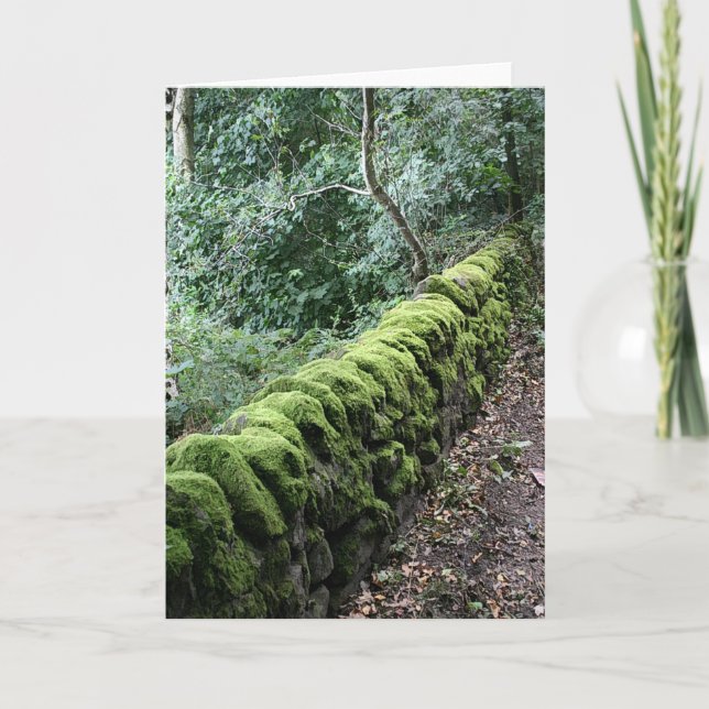 Dry stone wall covered in Moss Card (Front)