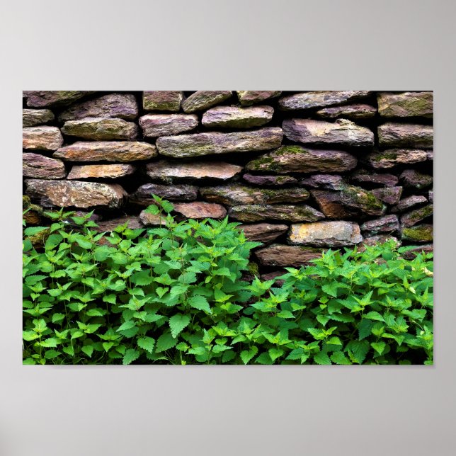 Dry Stone wall Poster (Front)