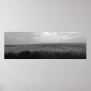 Dry Storm Over Oklahoma Grasslands I (Col Desat) Poster