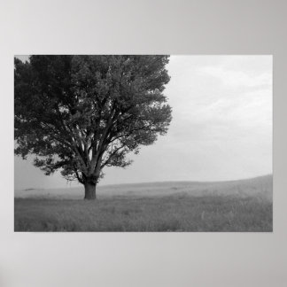 Dry Storm Over Oklahoma Grasslands III (Col Desat) Poster
