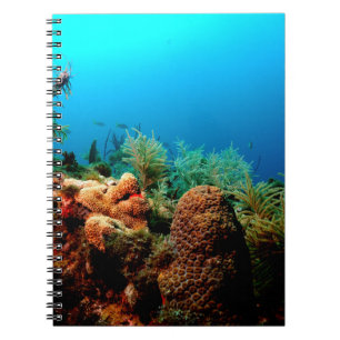 Dry Tortugas National Park, Coral Reef, Florida Notebook