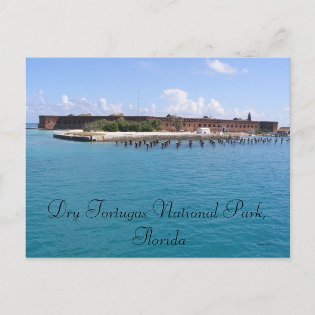 Dry Tortugas Postcard (Front)