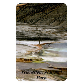 DRY TREE AT THE EDGE OF A THERMAL POOL MAGNET