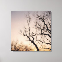 Dry tree
