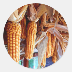 Dry Whole Ear Corn with Husks Classic Round Sticker