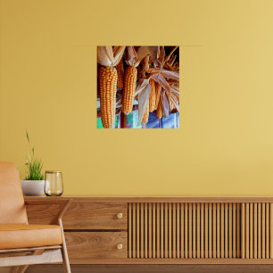 Dry Whole Ear Corn with Husks Poster