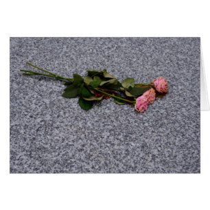 drying pink roses