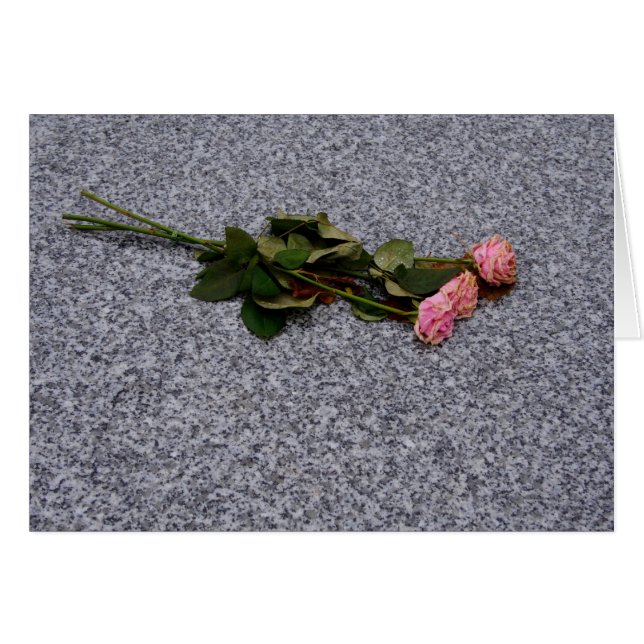 drying pink roses (Front Horizontal)