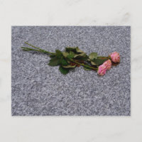 drying pink roses