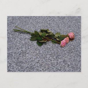drying pink roses postcard