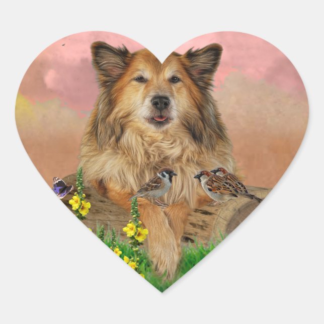 Drying stickers (Front)