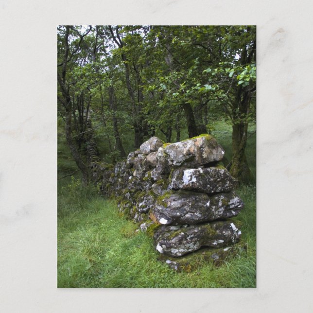 Drystone Wall Postcard (Front)