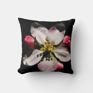 DS Sunflower or Apple Blossom tp arc3 Cushion