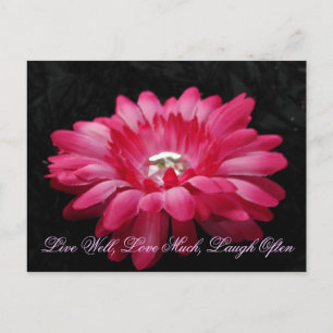DSC00005 (2), Live Well, Love Much, Laugh Often Postcard