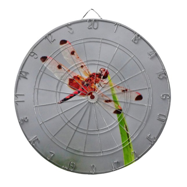 DSC00029.JPG DARTBOARD (Front)