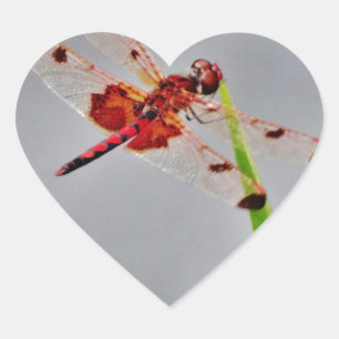 DSC00029.JPG HEART STICKER