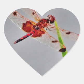 DSC00029.JPG HEART STICKER