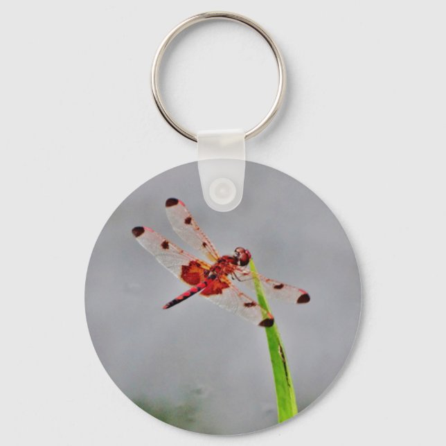 DSC00029.JPG KEY RING (Front)