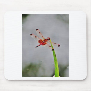 DSC00029.JPG MOUSE MAT