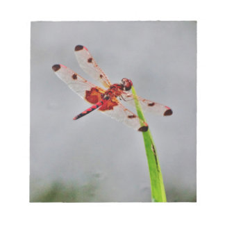 DSC00029.JPG NOTEPAD