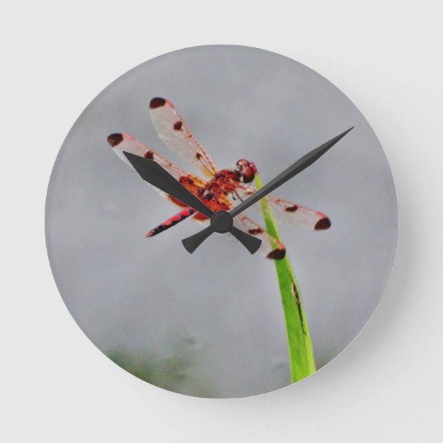 DSC00029.JPG ROUND CLOCK (Front)