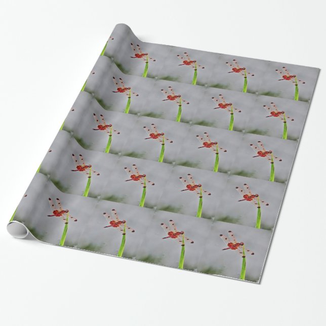 DSC00029.JPG WRAPPING PAPER (Unrolled)