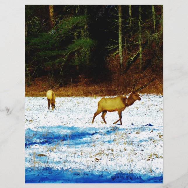 DSC00131.JPG (Front)