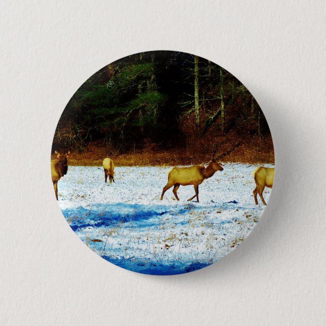 DSC00131.JPG 6 CM ROUND BADGE (Front)