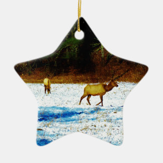 DSC00131.JPG CERAMIC TREE DECORATION