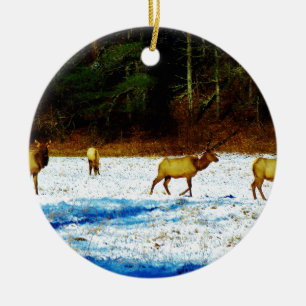 DSC00131.JPG CERAMIC TREE DECORATION