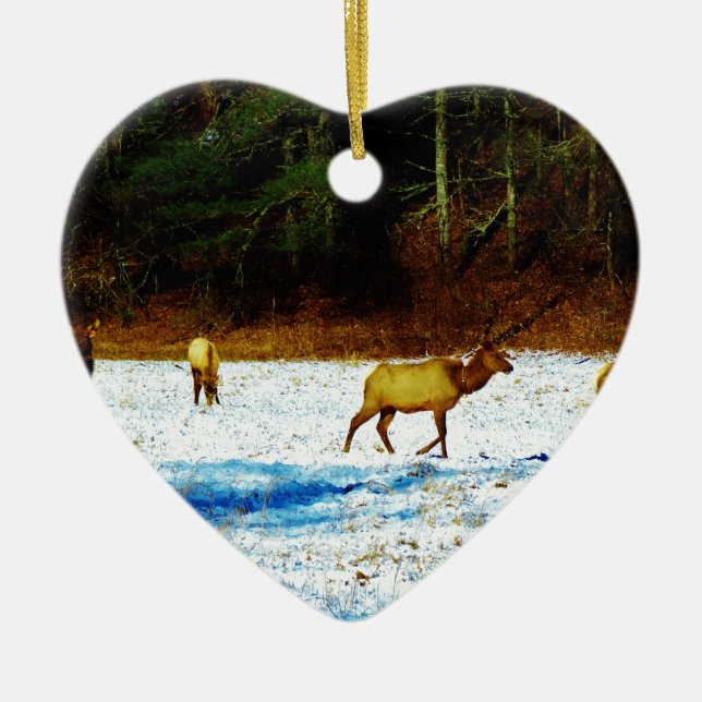 DSC00131.JPG CERAMIC TREE DECORATION (Front)