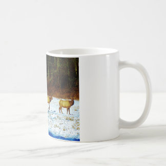 DSC00131.JPG COFFEE MUG