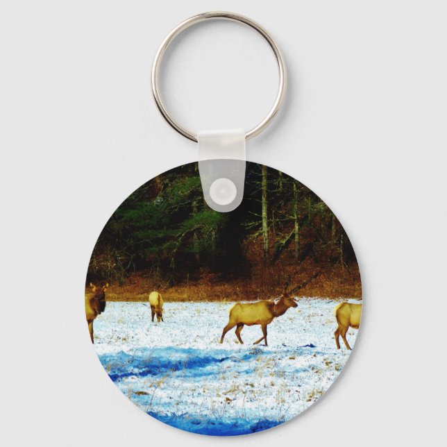 DSC00131.JPG KEY RING (Front)