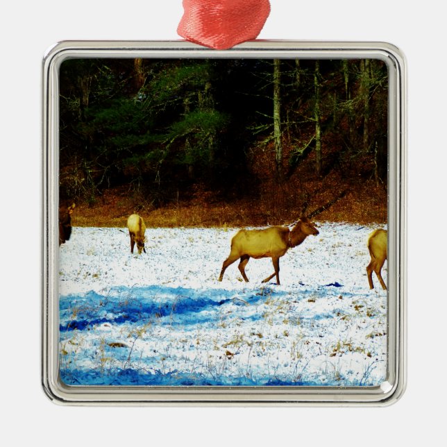 DSC00131.JPG METAL TREE DECORATION (Front)