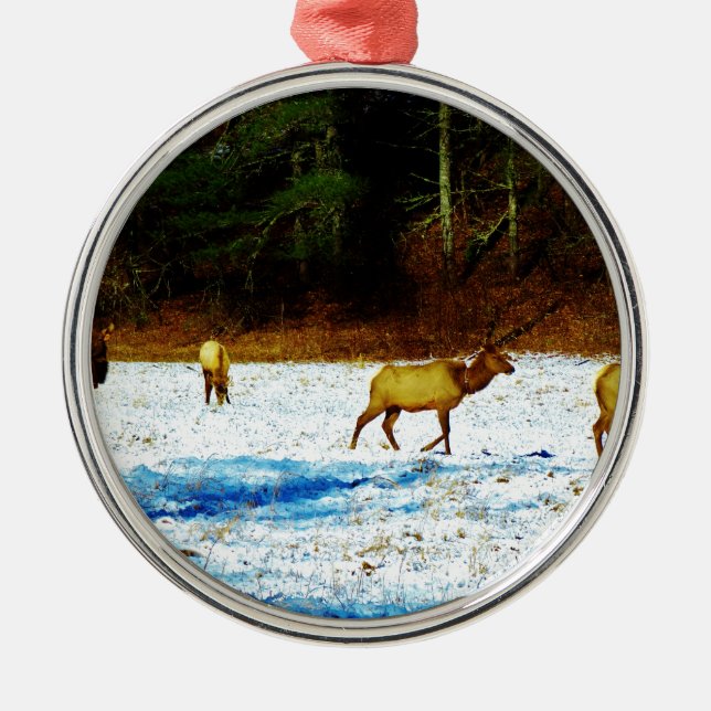 DSC00131.JPG METAL TREE DECORATION (Front)