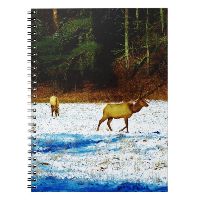 DSC00131.JPG NOTEBOOK (Front)