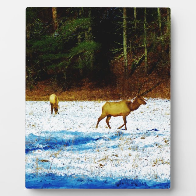 DSC00131.JPG PLAQUE (Front)